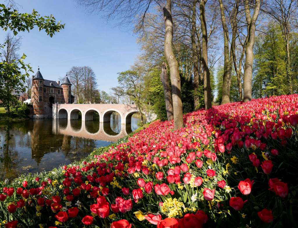 🌷 Tulip festival: the flower power of a Belgian&nbsp;castle
